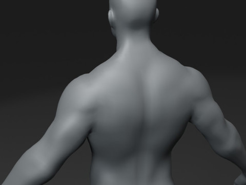 Male Body Base Mesh 10k Polygons Modelo 3D