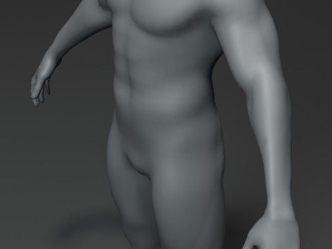 Male Body Base Mesh 10k Polygons Modelo 3D
