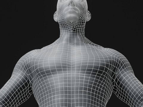 Male Body Base Mesh 10k Polygons Modelo 3D
