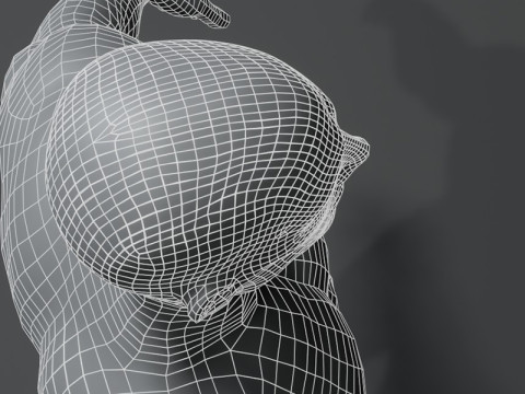 Male Body Base Mesh 10k Polygons Modelo 3D