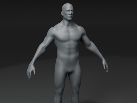Male Body Base Mesh 10k Polygons Modelo 3D