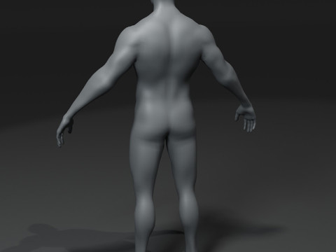 Male Body Base Mesh 10k Polygons Modelo 3D