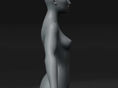 Female Body Base Mesh 10k Polygons 3D Model