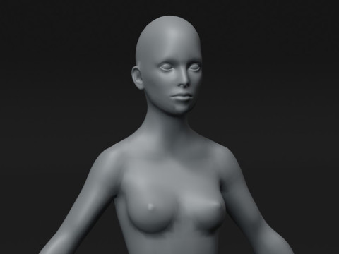 Female Body Base Mesh 10k Polygons 3D Model