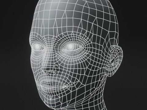 Female Body Base Mesh 10k Polygons 3D Model