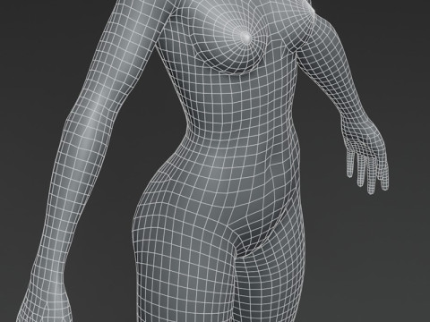 Female Body Base Mesh 10k Polygons 3D Model