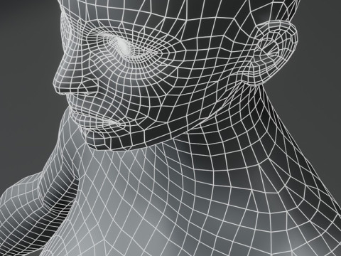 Female Body Base Mesh 10k Polygons 3D Model
