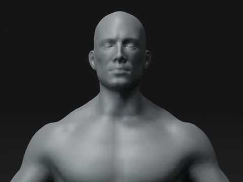 Male Body Base Mesh 20k Polygons 3Dモデル
