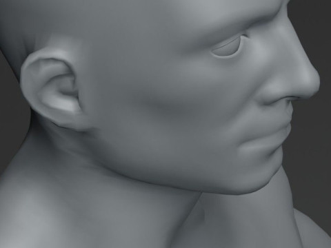Male Body Base Mesh 20k Polygons Modelo 3D