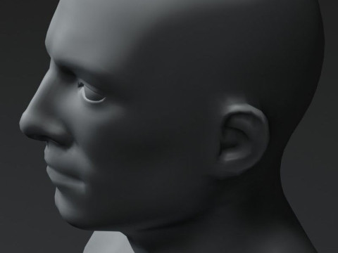 Male Body Base Mesh 20k Polygons Modelo 3D