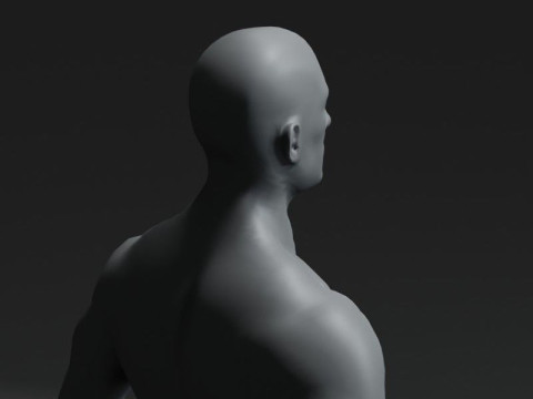 Male Body Base Mesh 20k Polygons Modelo 3D