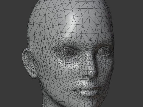 Female Body Base Mesh 20k Polygons 3D Модель