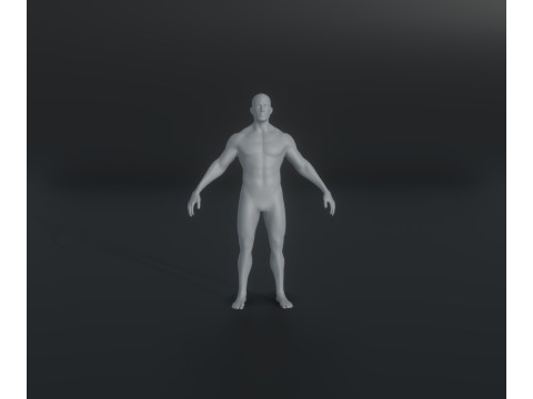 Male Body Base Mesh Animated and Rigged 20k Polygons 3D मॉडल