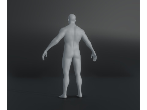 Male Body Base Mesh Animated and Rigged 20k Polygons 3D मॉडल