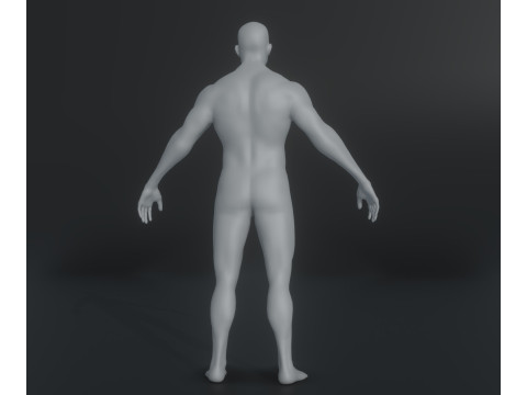 Male Body Base Mesh Animated and Rigged 20k Polygons 3D मॉडल