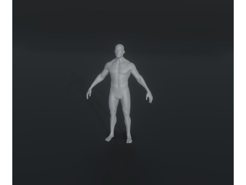 Male Body Base Mesh Animated and Rigged 20k Polygons 3D मॉडल