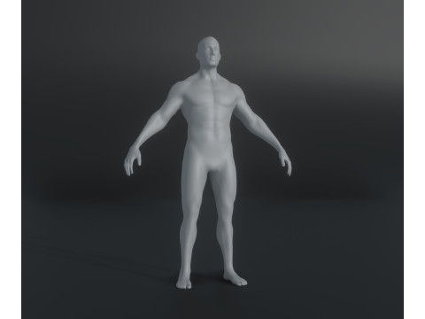 Male Body Base Mesh Animated and Rigged 20k Polygons 3D मॉडल