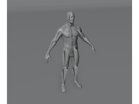 Male Body Base Mesh Animated and Rigged 20k Polygons 3D मॉडल