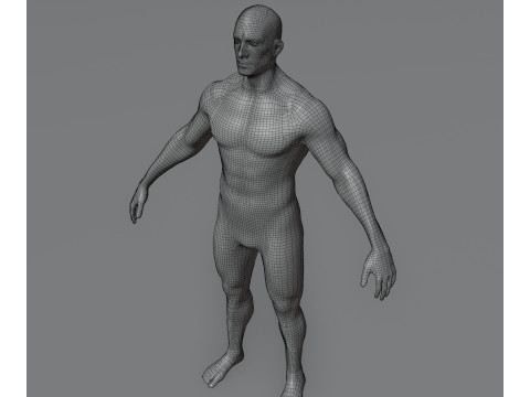 Male Body Base Mesh Animated and Rigged 20k Polygons 3D मॉडल