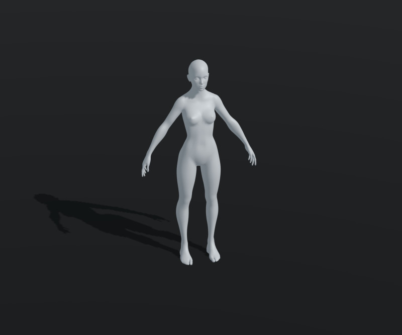 Female Body Base Mesh Animated and Rigged 20k Polygons 3D Model .c4d .max .obj .3ds .fbx .stl .blend 