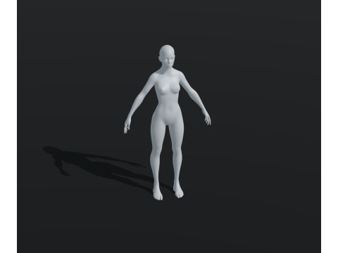 Female Body Base Mesh Animated and Rigged 20k Polygons 3D Модель