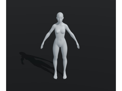 Female Body Base Mesh Animated and Rigged 20k Polygons 3D Model