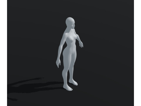 Female Body Base Mesh Animated and Rigged 20k Polygons 3D Model