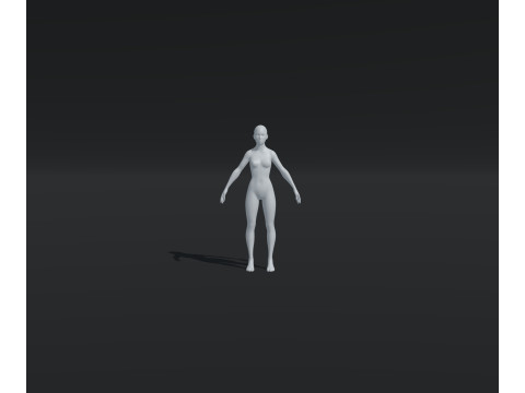 Female Body Base Mesh Animated and Rigged 20k Polygons 3D Model