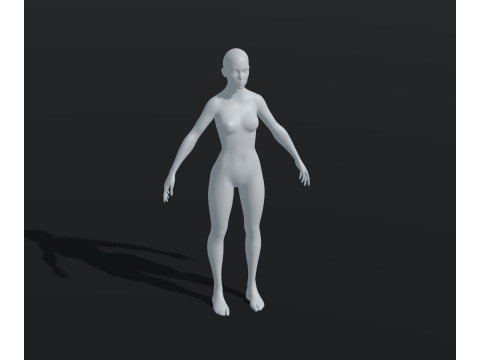 Female Body Base Mesh Animated and Rigged 20k Polygons 3D Model