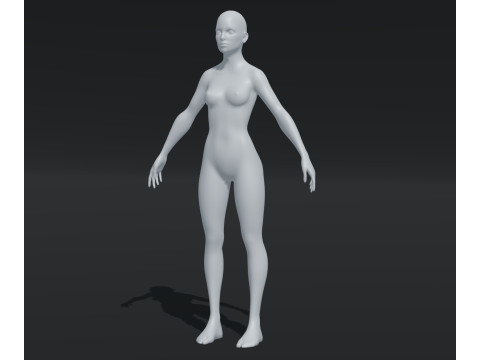 Female Body Base Mesh Animated and Rigged 20k Polygons 3D Model