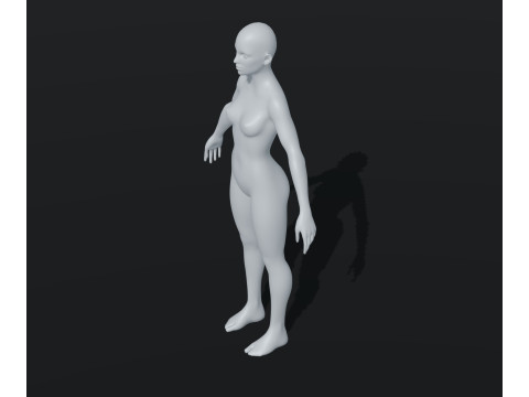 Female Body Base Mesh Animated and Rigged 20k Polygons 3D Model