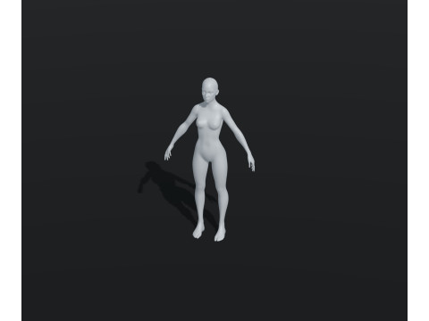 Female Body Base Mesh Animated and Rigged 20k Polygons 3D Model