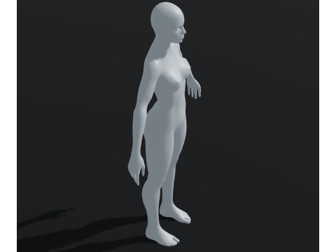 Female Body Base Mesh Animated and Rigged 20k Polygons 3D Model