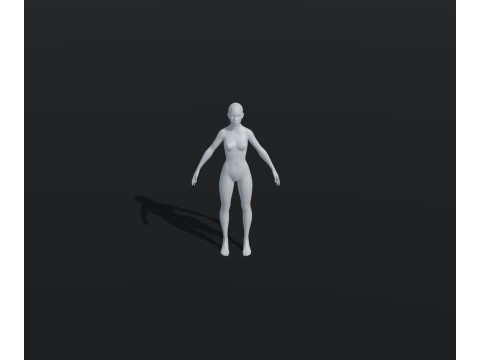 Female Body Base Mesh Animated and Rigged 20k Polygons 3D Model