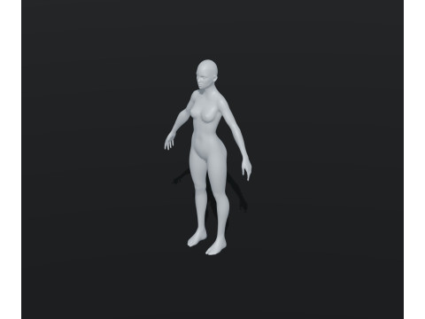 Female Body Base Mesh Animated and Rigged 20k Polygons 3D Model