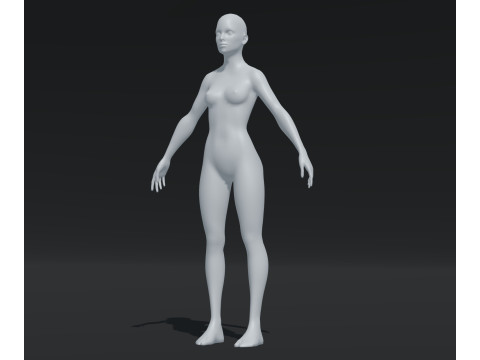 Female Body Base Mesh Animated and Rigged 20k Polygons 3D Model