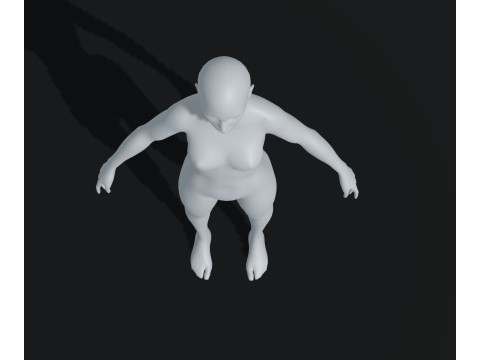 Female Body Base Mesh Animated and Rigged 20k Polygons 3D Model