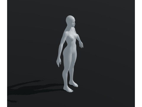 Female Body Base Mesh Animated and Rigged 20k Polygons 3D Model