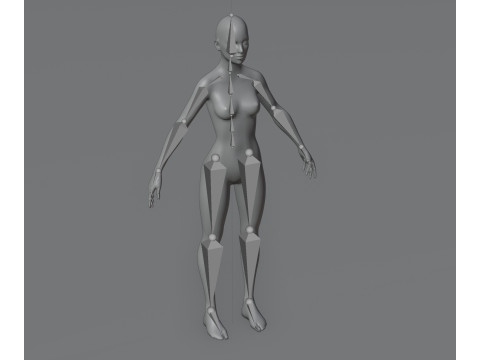 Female Body Base Mesh Animated and Rigged 20k Polygons 3D Model