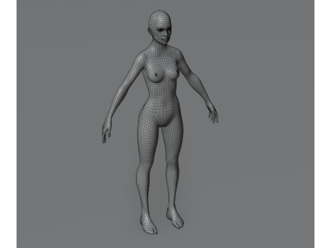 Female Body Base Mesh Animated and Rigged 20k Polygons 3D Model