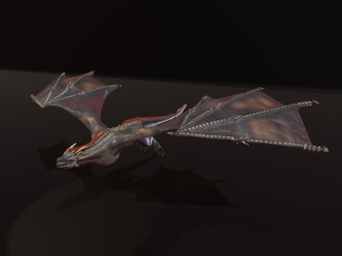 Realistic Black Wyvern Animated Low-Poly 3D Model