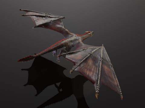 Realistic Black Wyvern Animated Low-Poly 3D Model