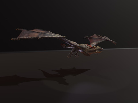 Realistic Black Wyvern Animated Low-Poly 3D Model