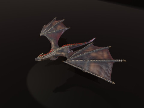 Realistic Black Wyvern Animated Low-Poly 3D Model