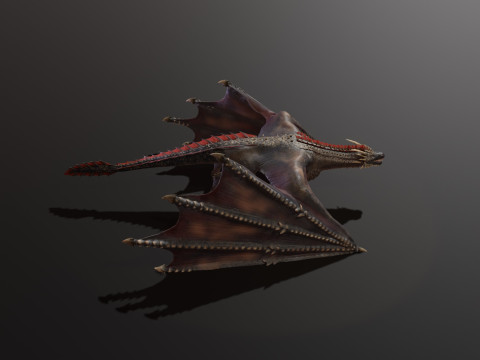 Realistic Black Wyvern Animated Low-Poly 3D Model