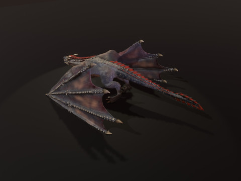 Realistic Black Wyvern Animated Low-Poly 3D Model