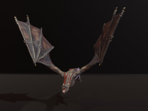 Realistic Black Wyvern Animated Low-Poly 3D Model