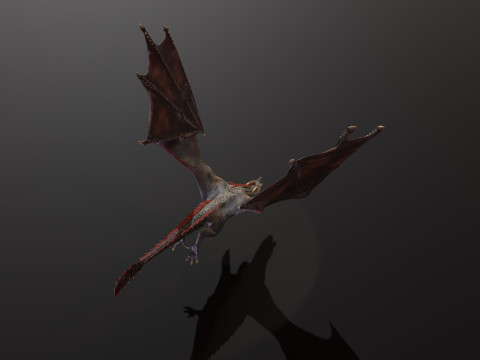 Realistic Black Wyvern Animated Low-Poly 3D Model