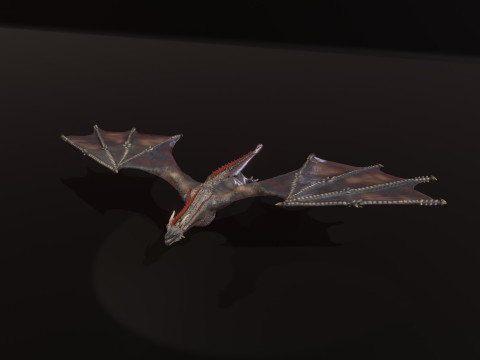 Realistic Black Wyvern Animated Low-Poly 3D Model