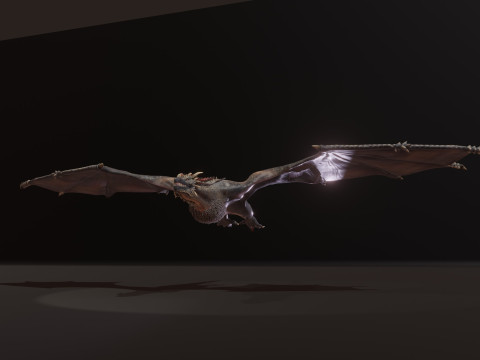 Realistic Black Wyvern Animated Low-Poly 3D Model
